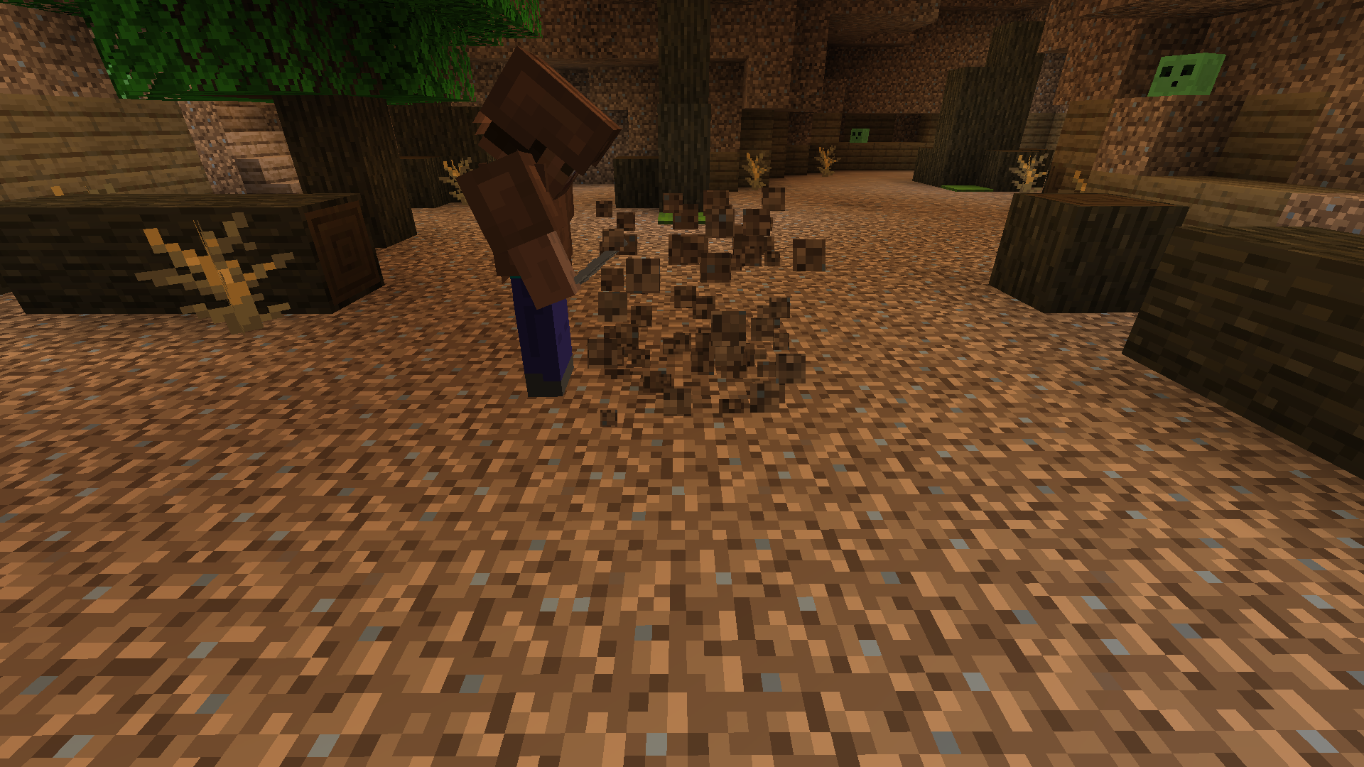 An archaeology dig site.